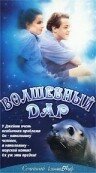 Волшебный дар (2000)